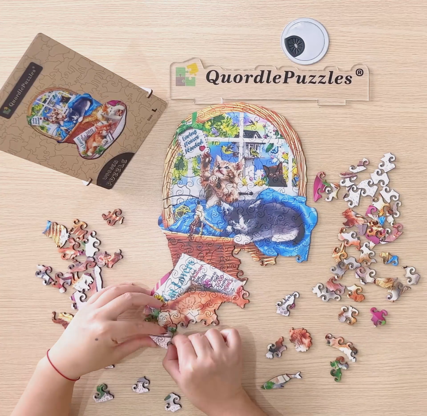 Speziell geformtes Holzpuzzle