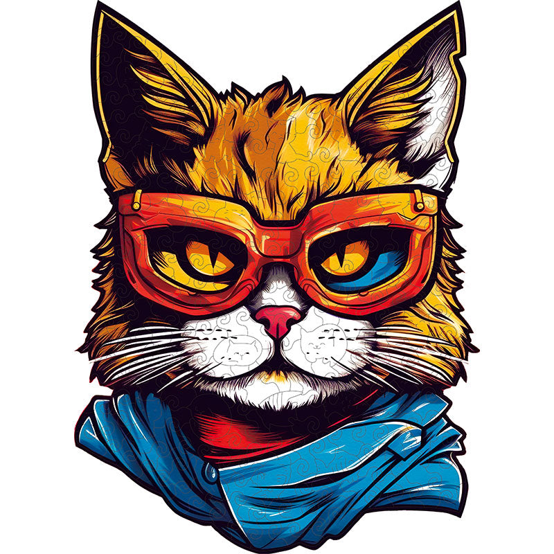 Katze mit Sonnenbrille