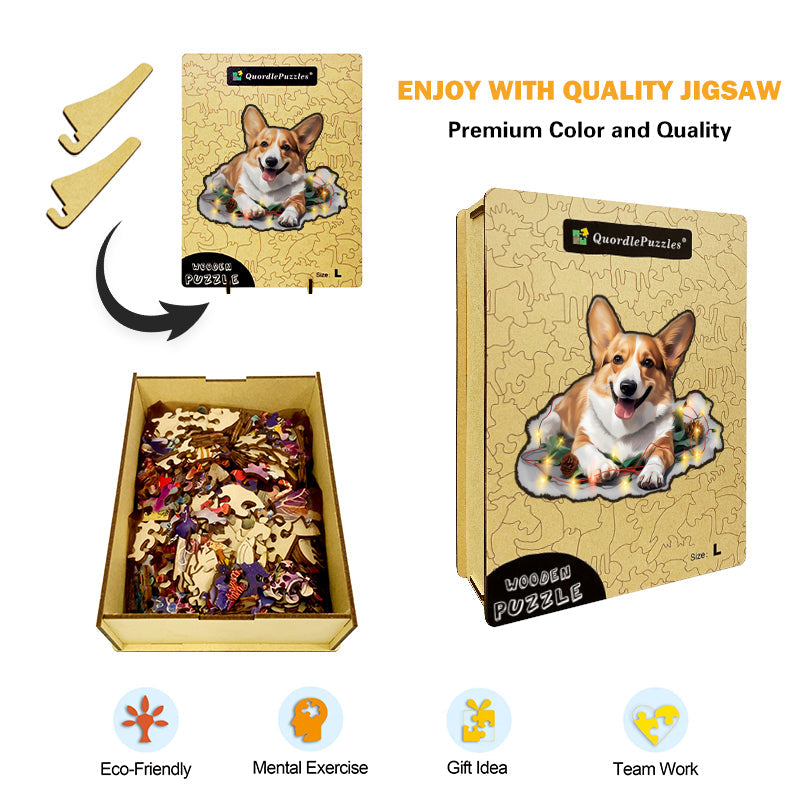 Süßer walisischer Pembroke-Corgi-Hund