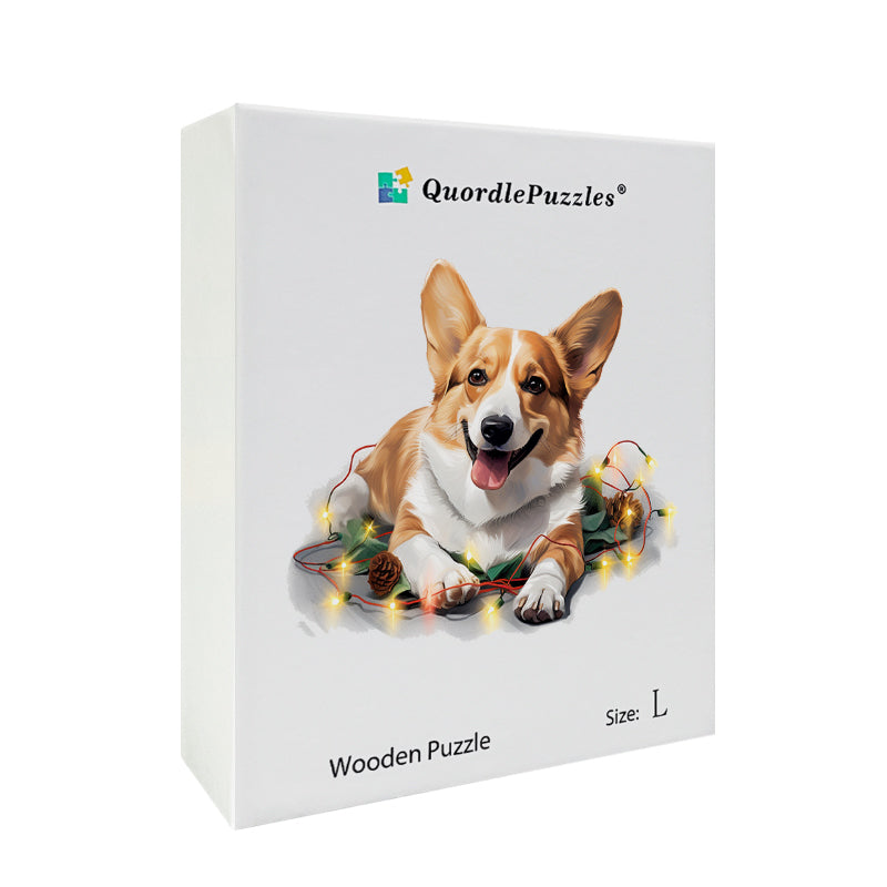 Süßer walisischer Pembroke-Corgi-Hund