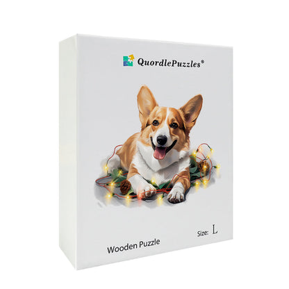Süßer walisischer Pembroke-Corgi-Hund