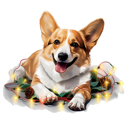 Süßer walisischer Pembroke-Corgi-Hund