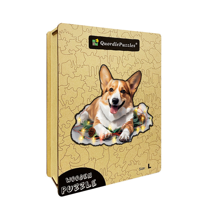 Süßer walisischer Pembroke-Corgi-Hund